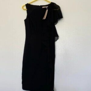 BGN black side ruffle lined stunning 100% silk sleeveless dress back zip button